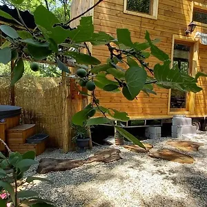 https://mini-maison-tiny-house-et-son-bain-nordique.midi-pyreneeshotels.com